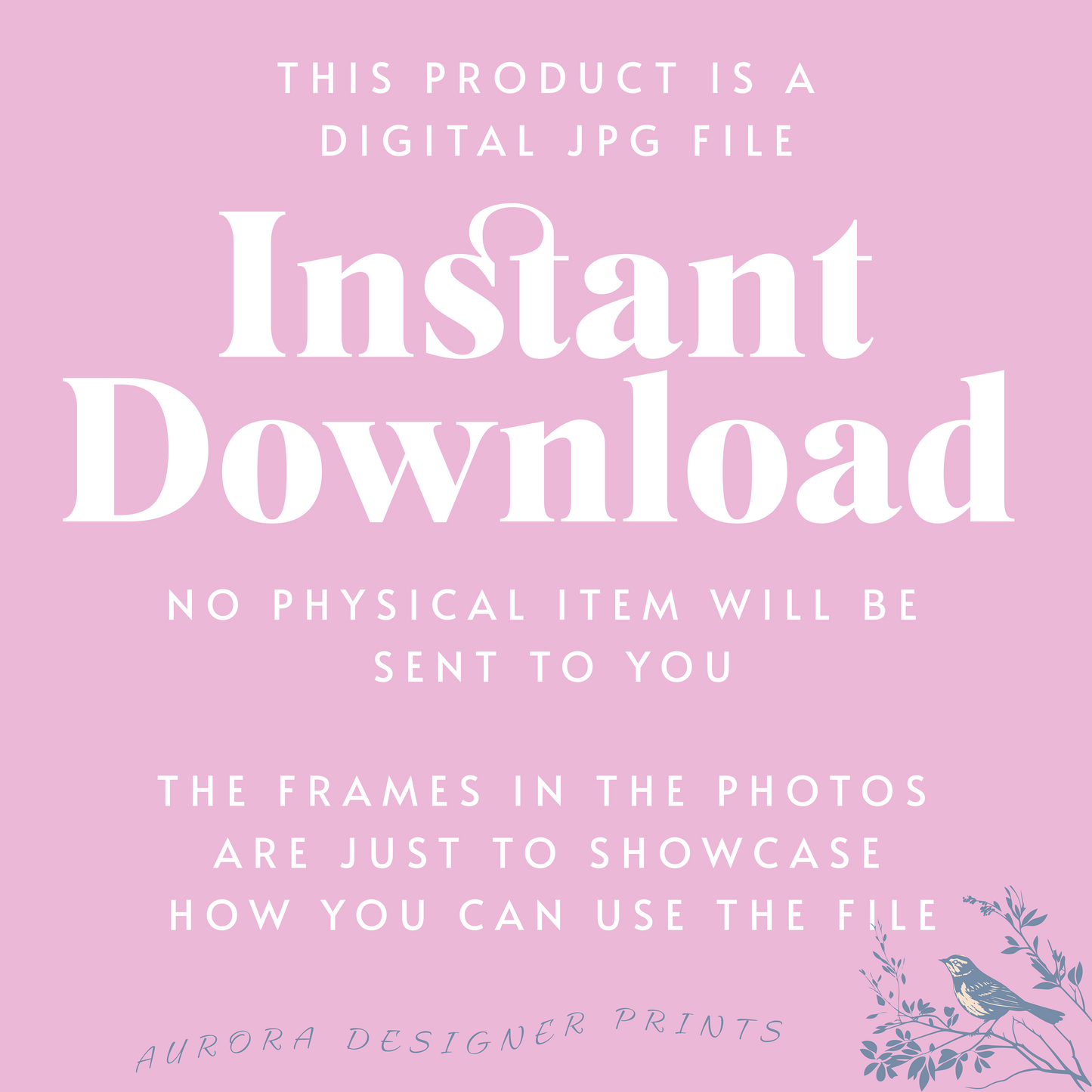 Chicken Digital Decor